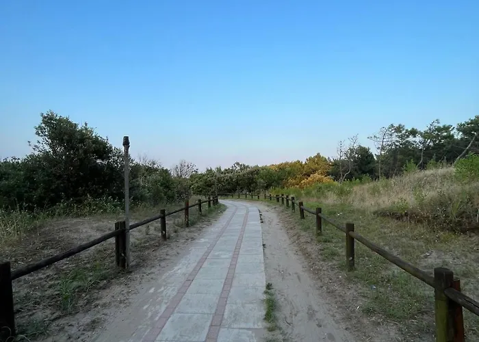 Uno Due Tre Stella Chioggia